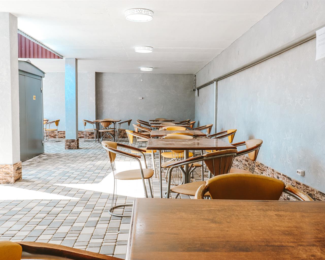 Фото Афалина+