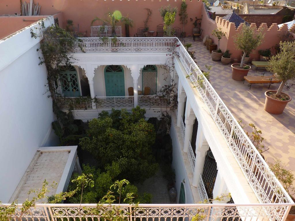 Фото Riad Ifoulki