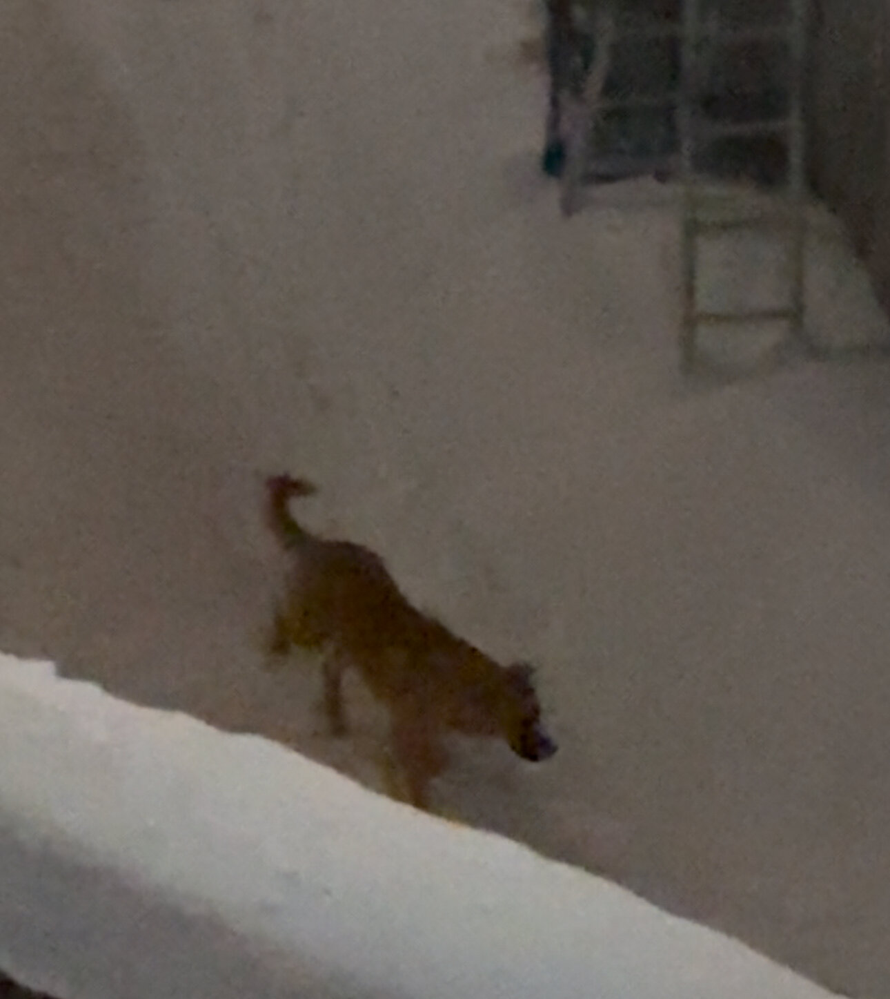 Фото Карпэ Диэм