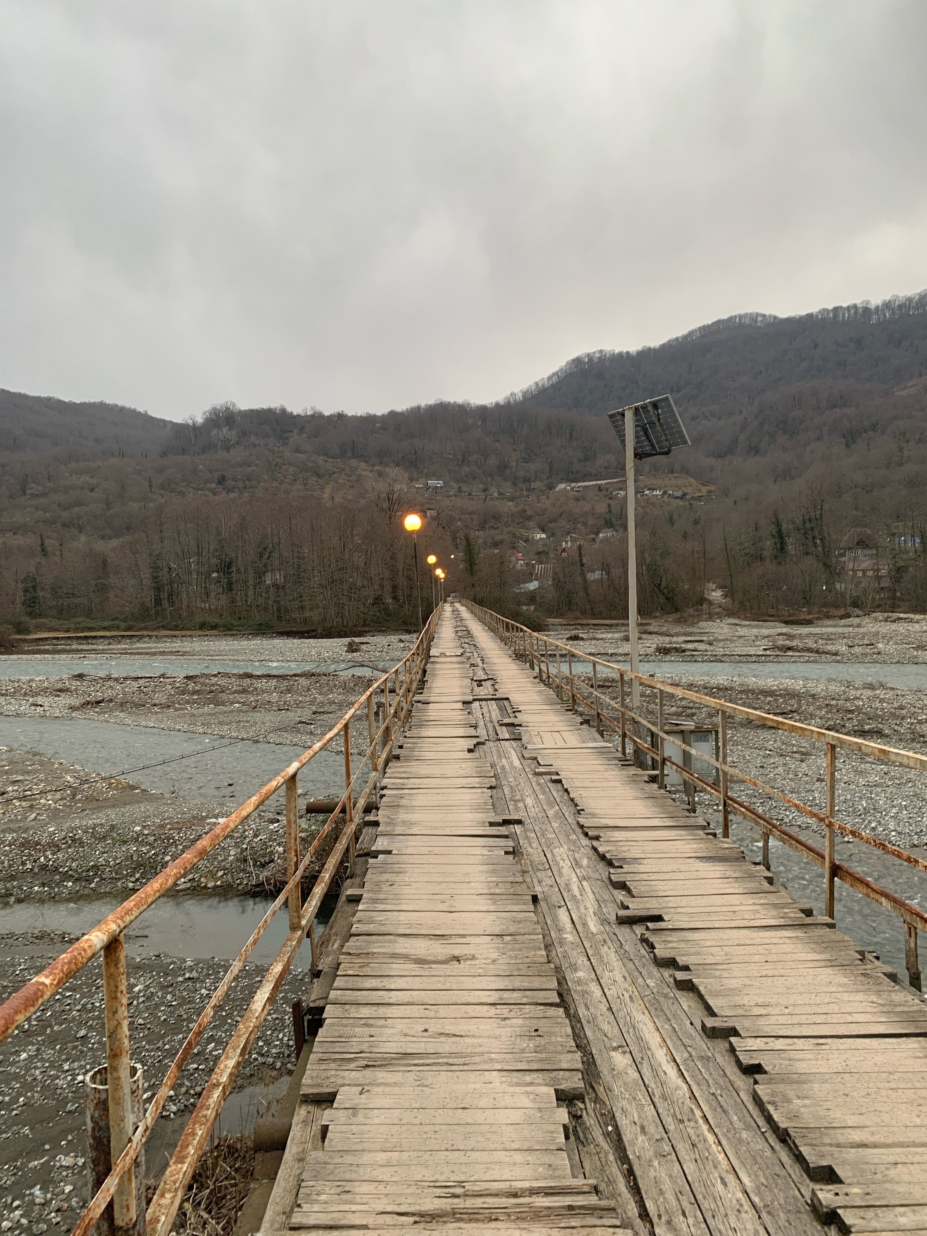 Фото Южный Вайб Древо