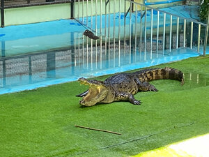 Landmark, attraction Crocodile Farm, Chalong, photo
