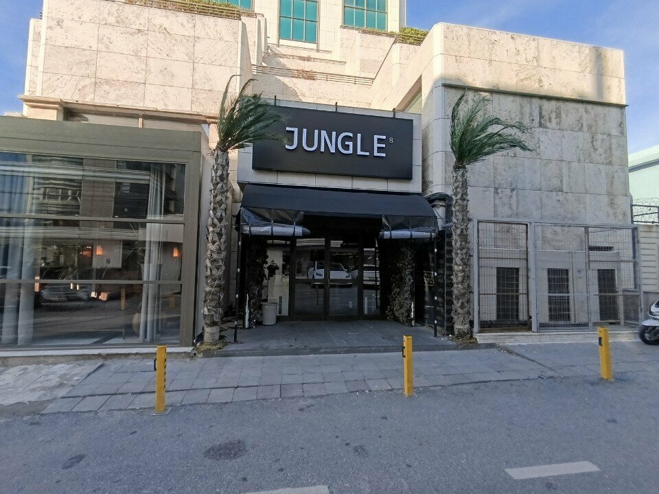 Nightclub Jungle 8, Istanbul, photo