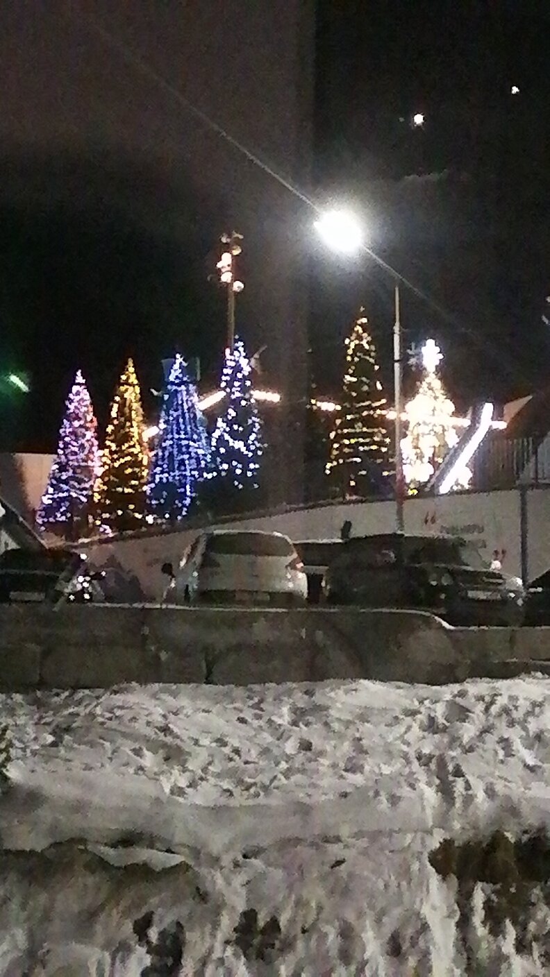 Фото Альпина