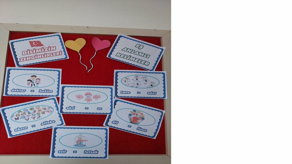 Primary school Godekli Primary School, Samsun, photo