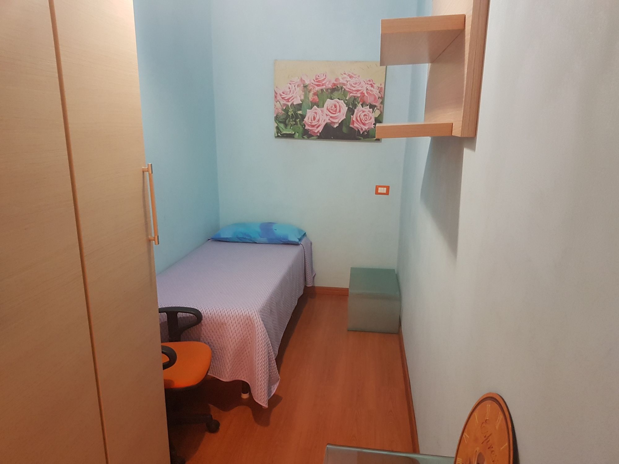 Фото Thousand Colors