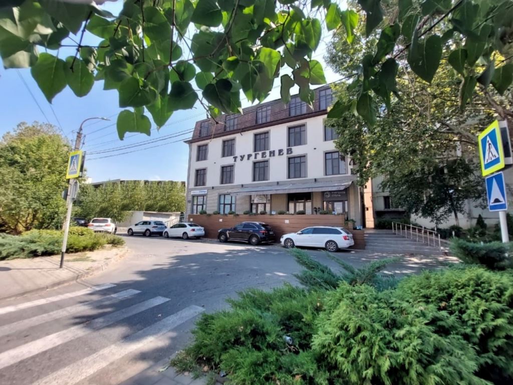 Фото Тургенев