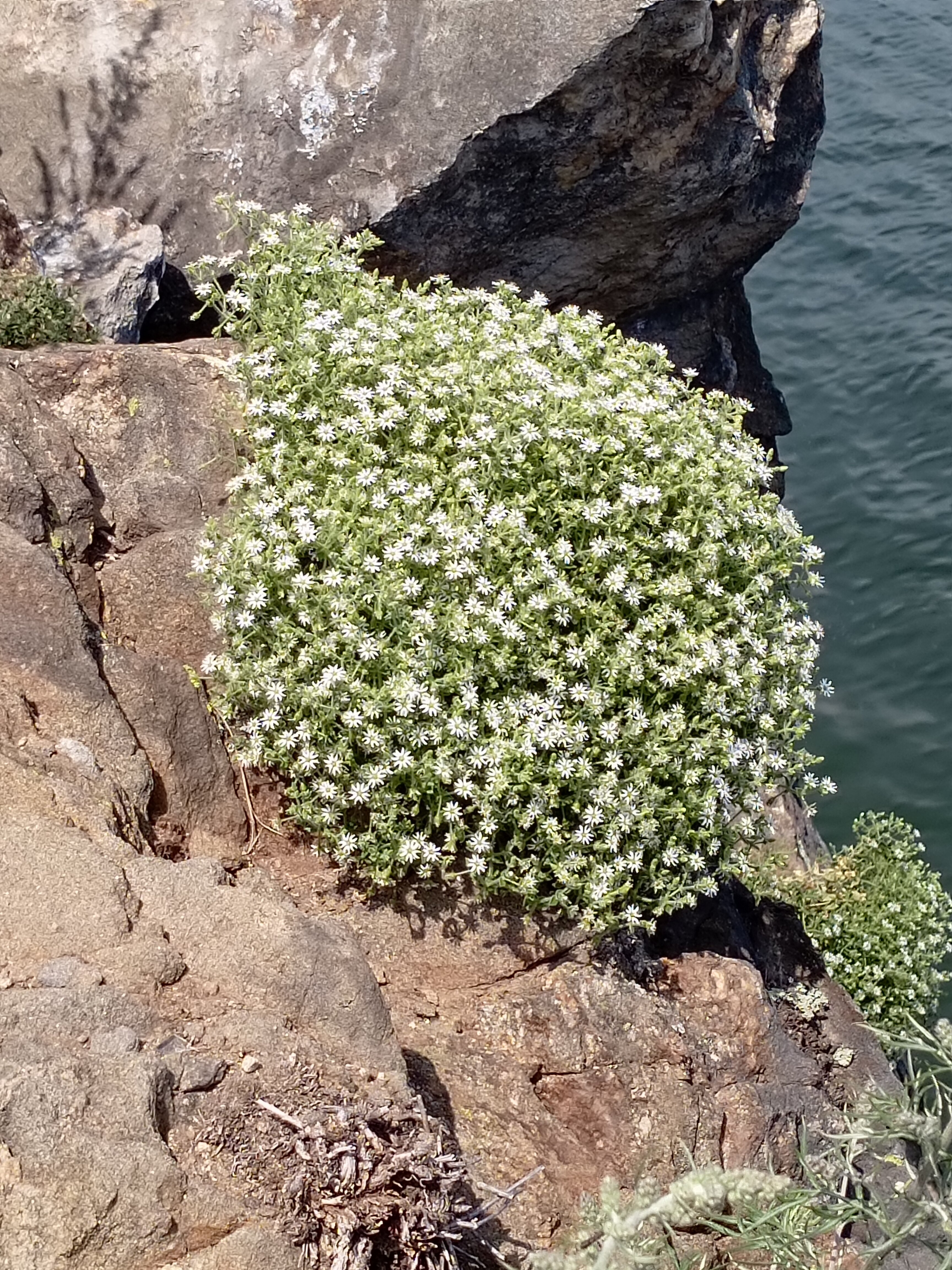 Фото Ветер Байкала