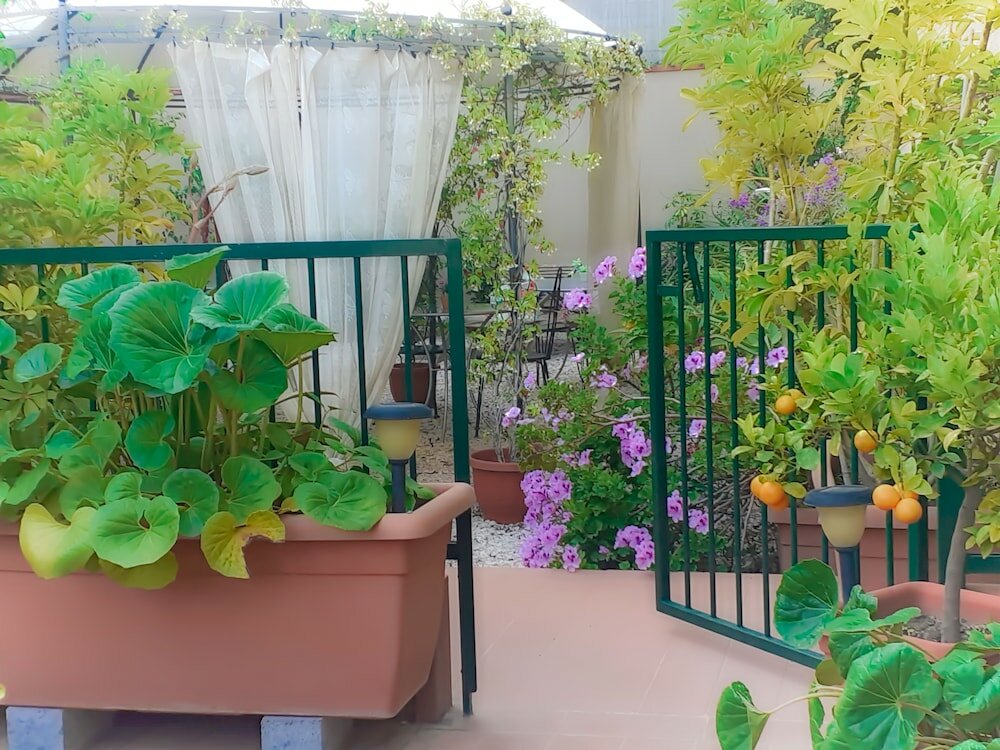 Фото B&b Rosangela