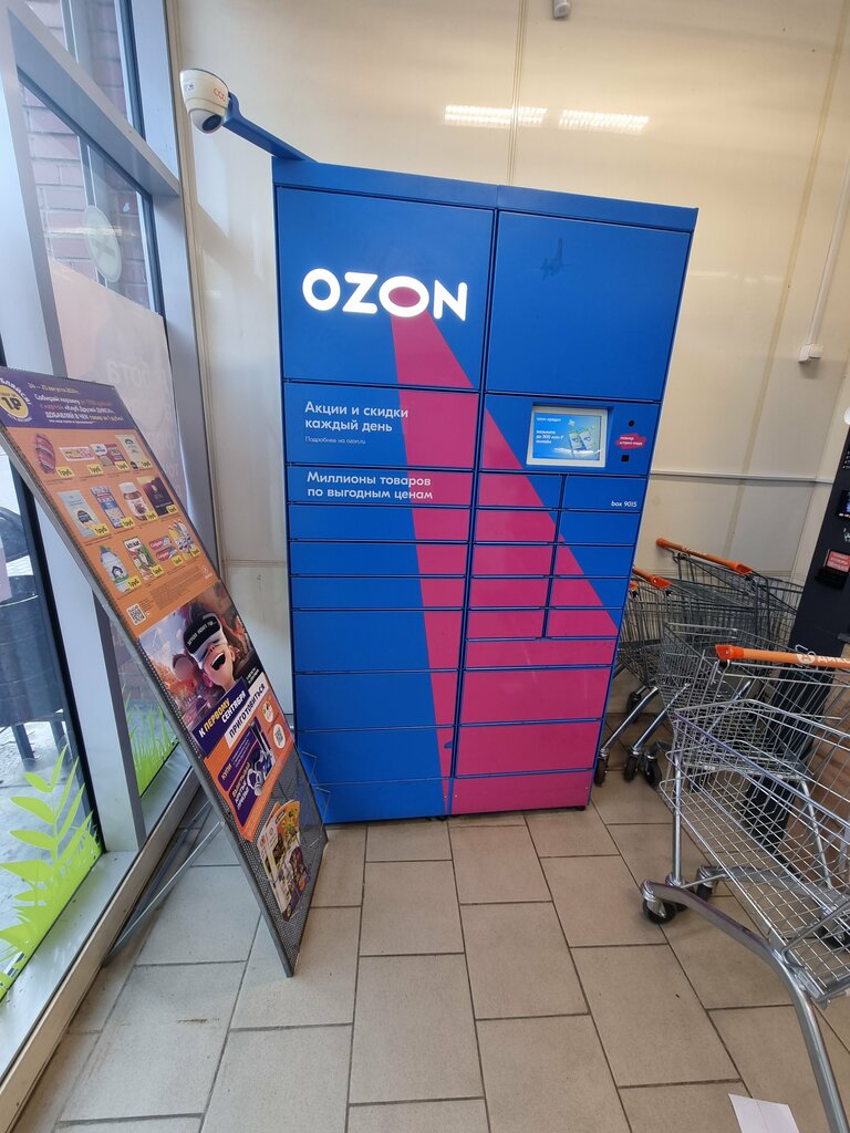 Parcel automat Ozon Box, Vyborg, photo