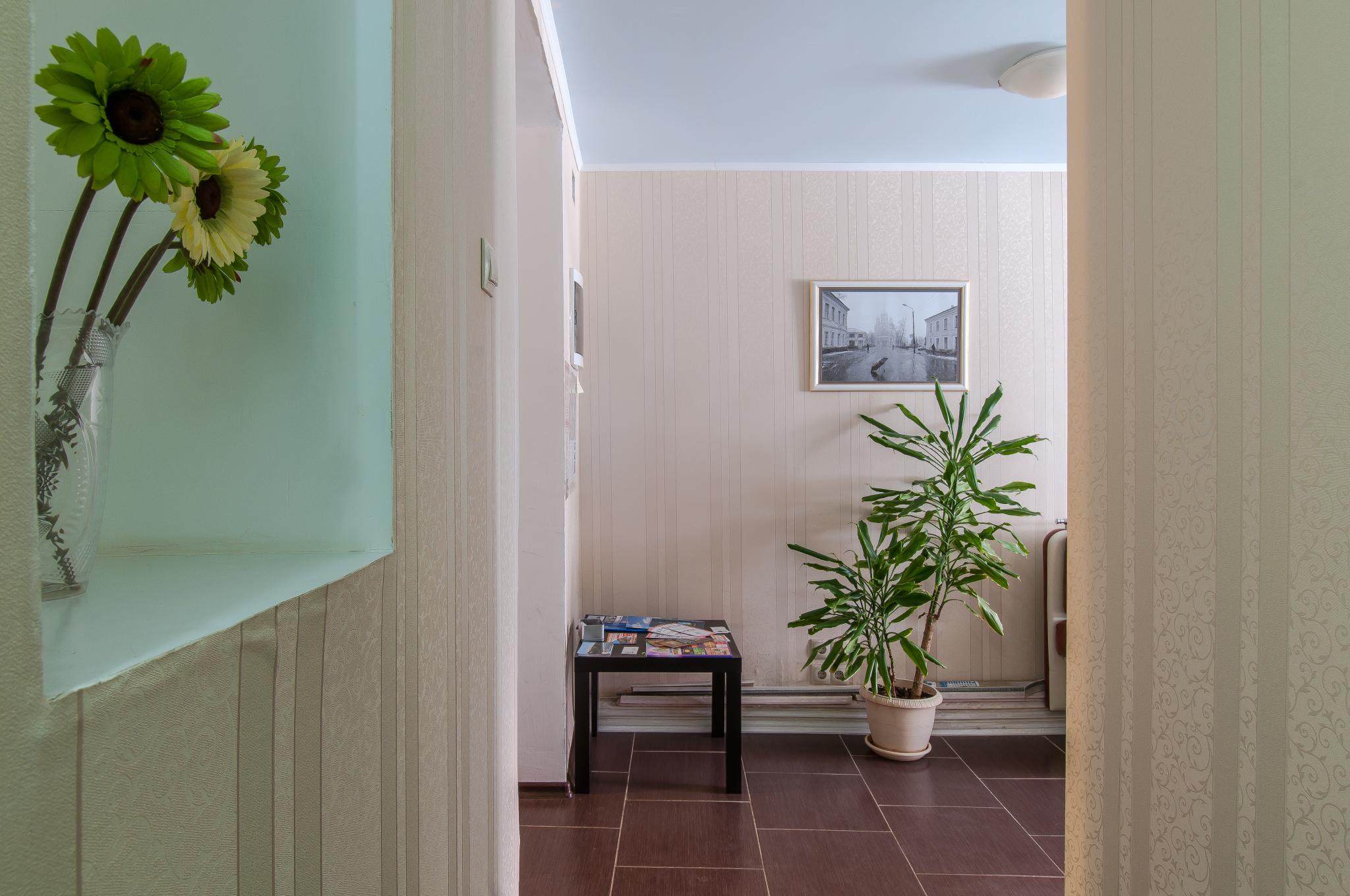 Фото Базилик