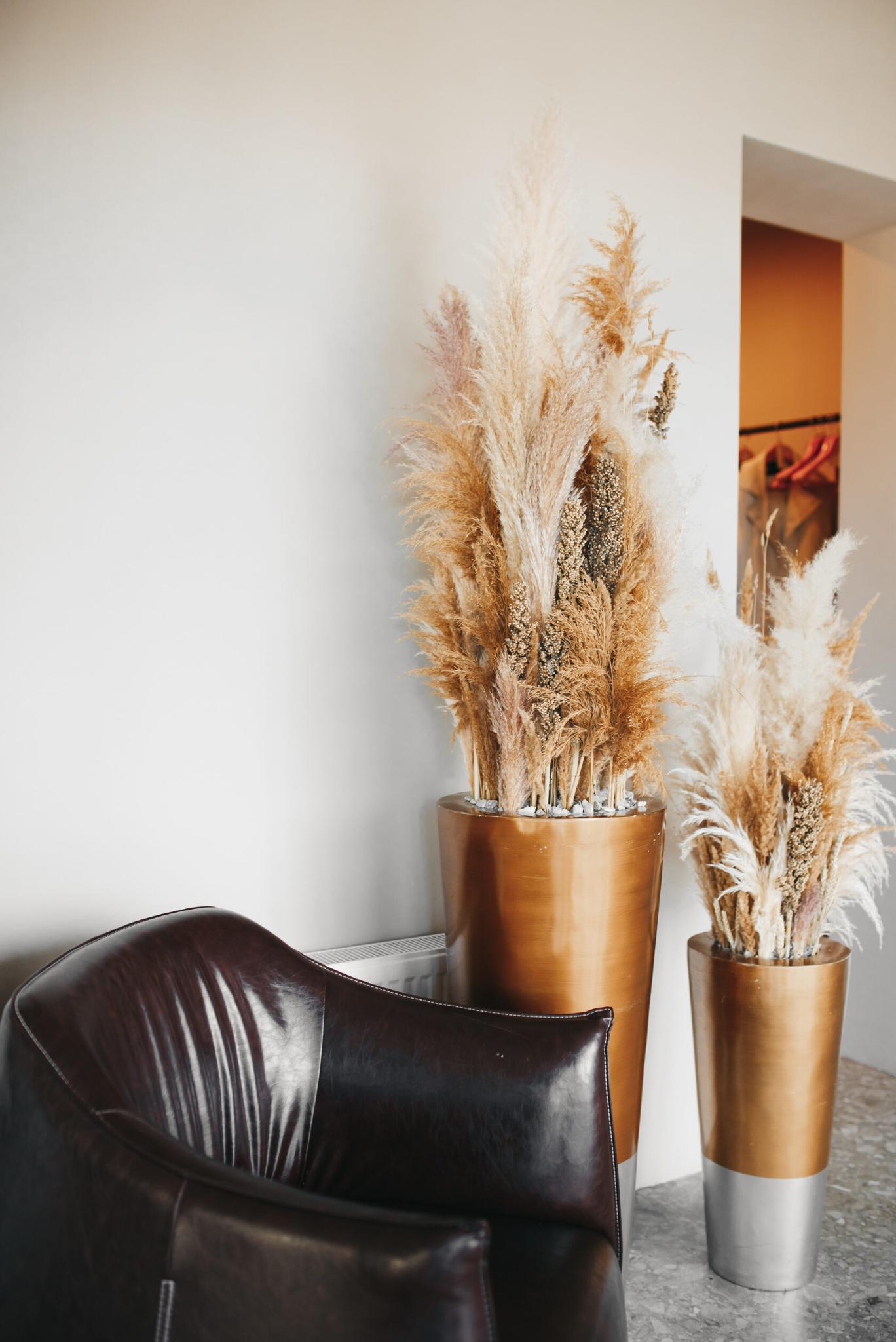 Фото Клевер