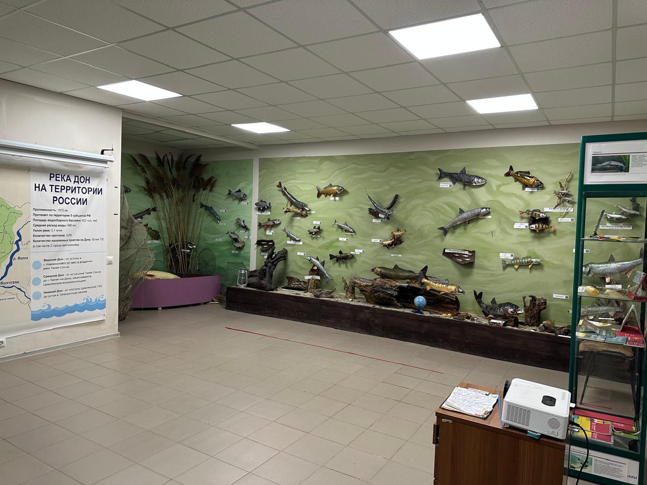 Фото Донская рыба