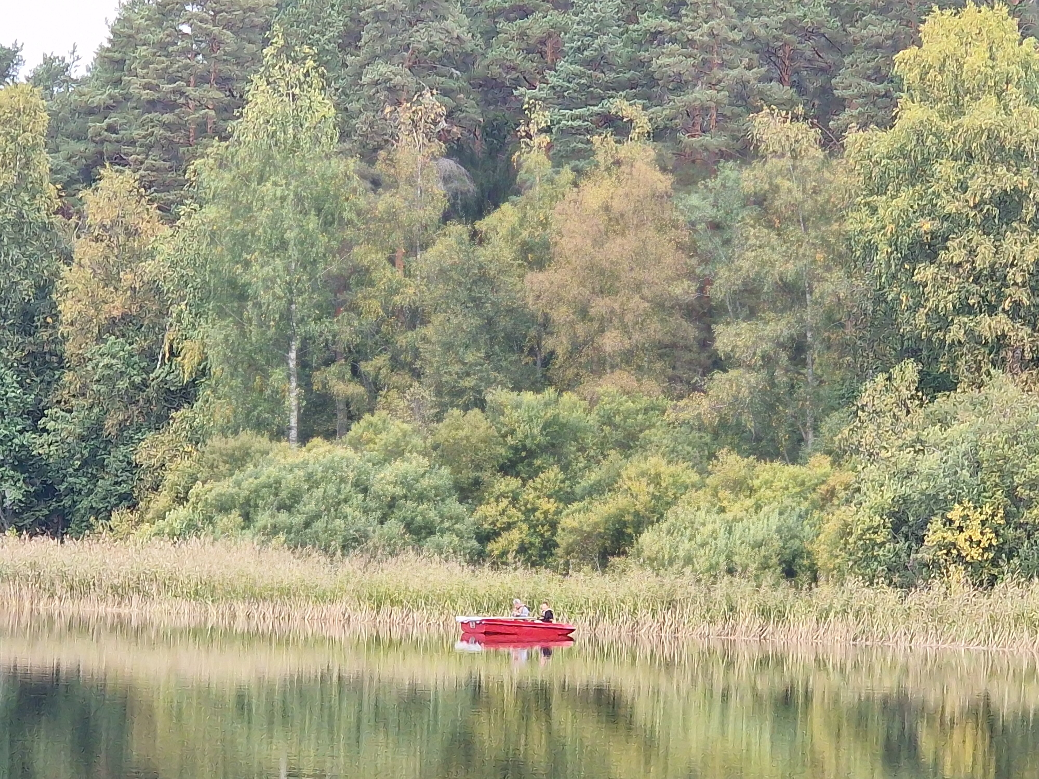 Фото Липпола