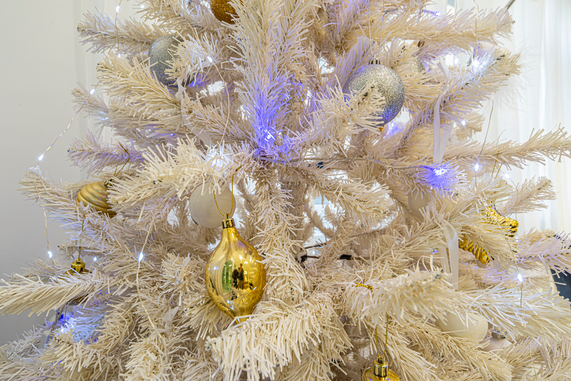 Фото Neva White Point