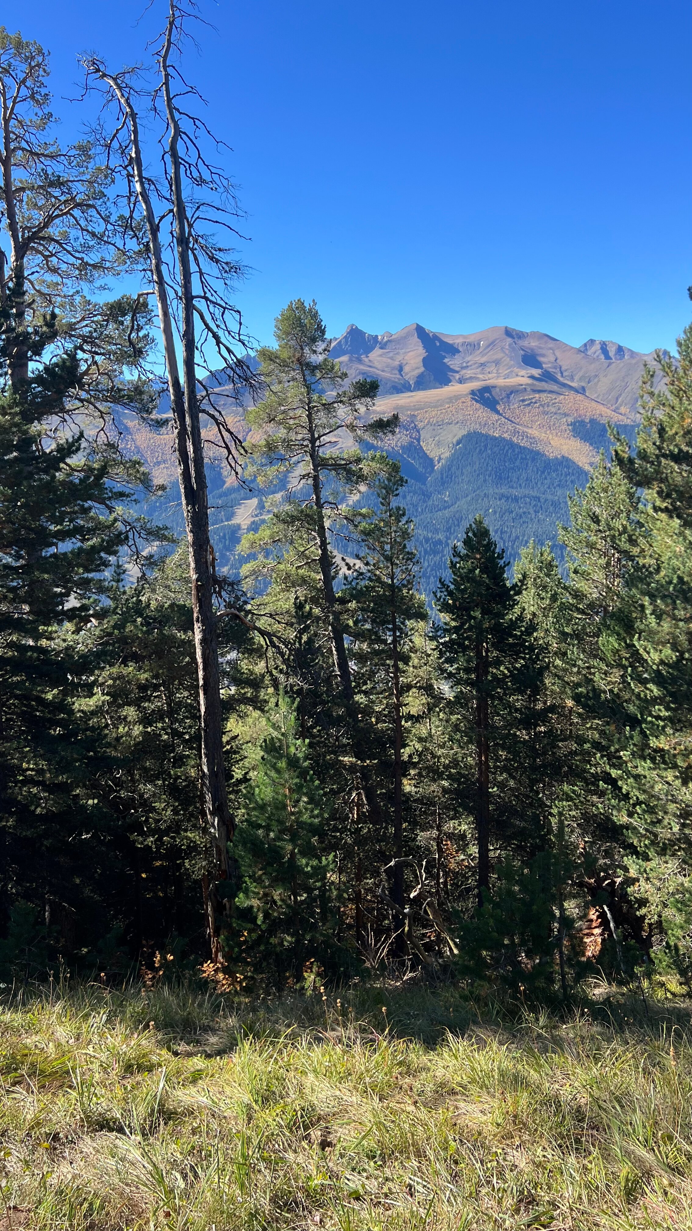 Фото Созвездие Архыза