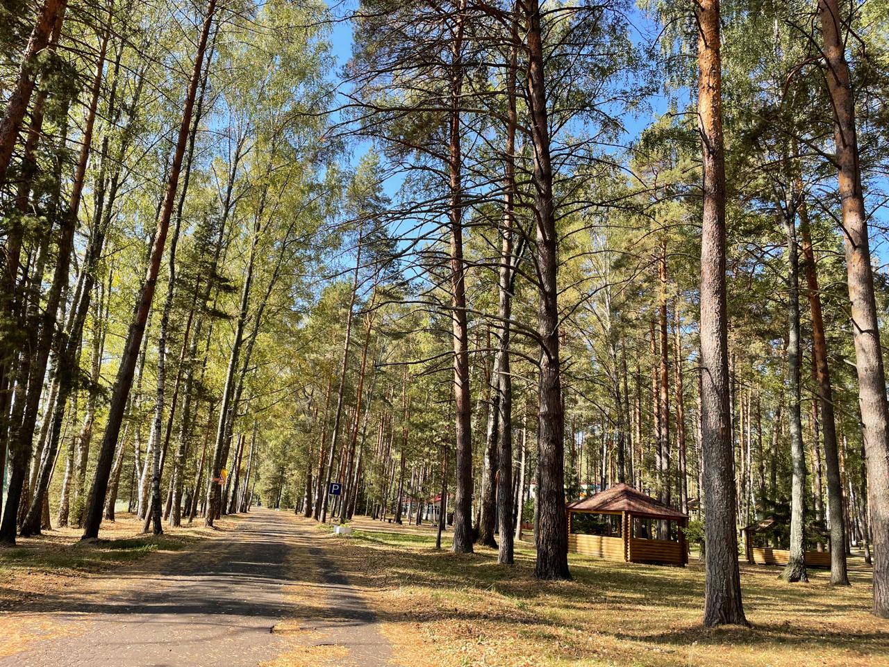 Фото Глэмпинг Тверской-Ямской