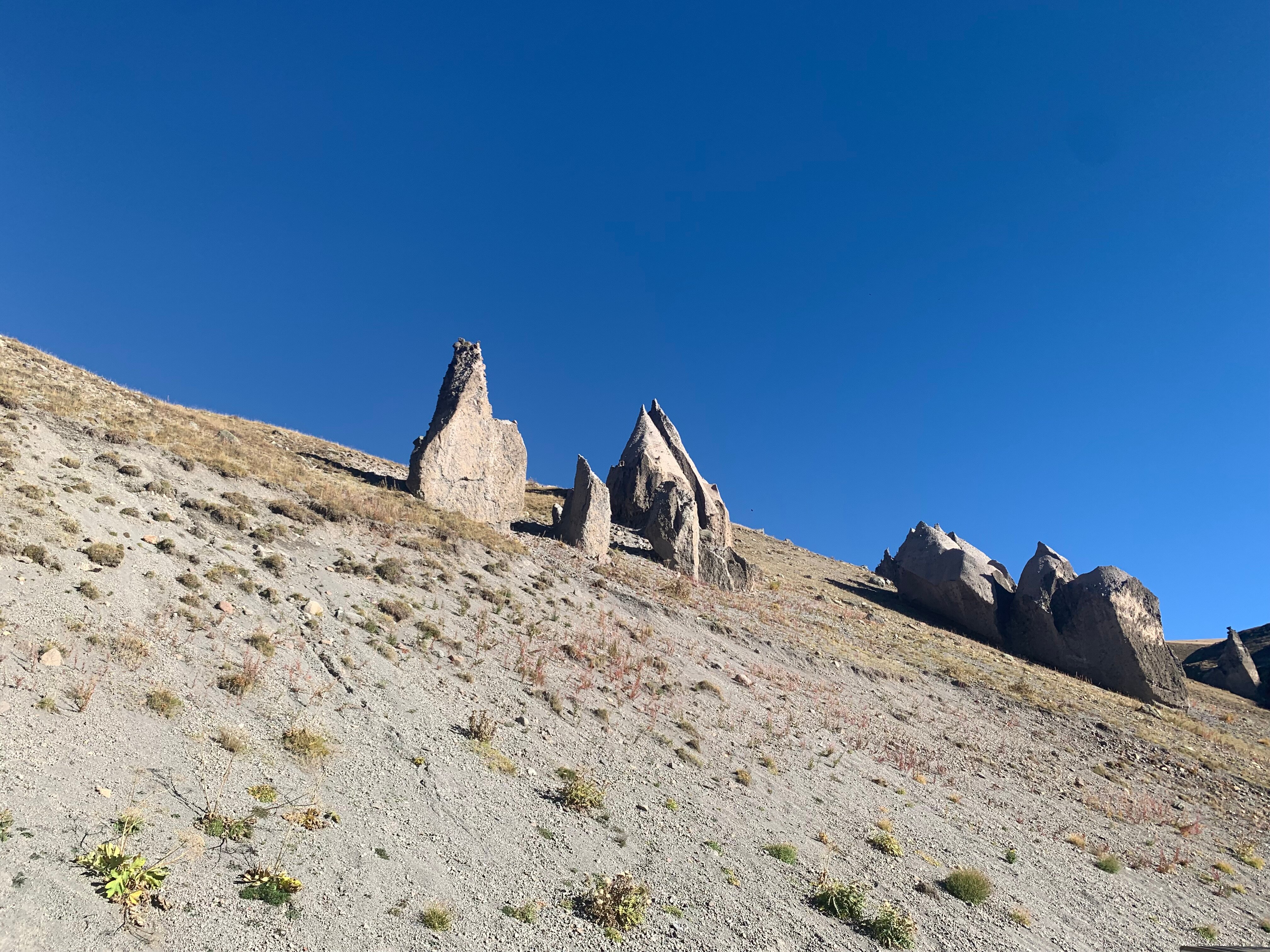 Фото Plaza Essentuki