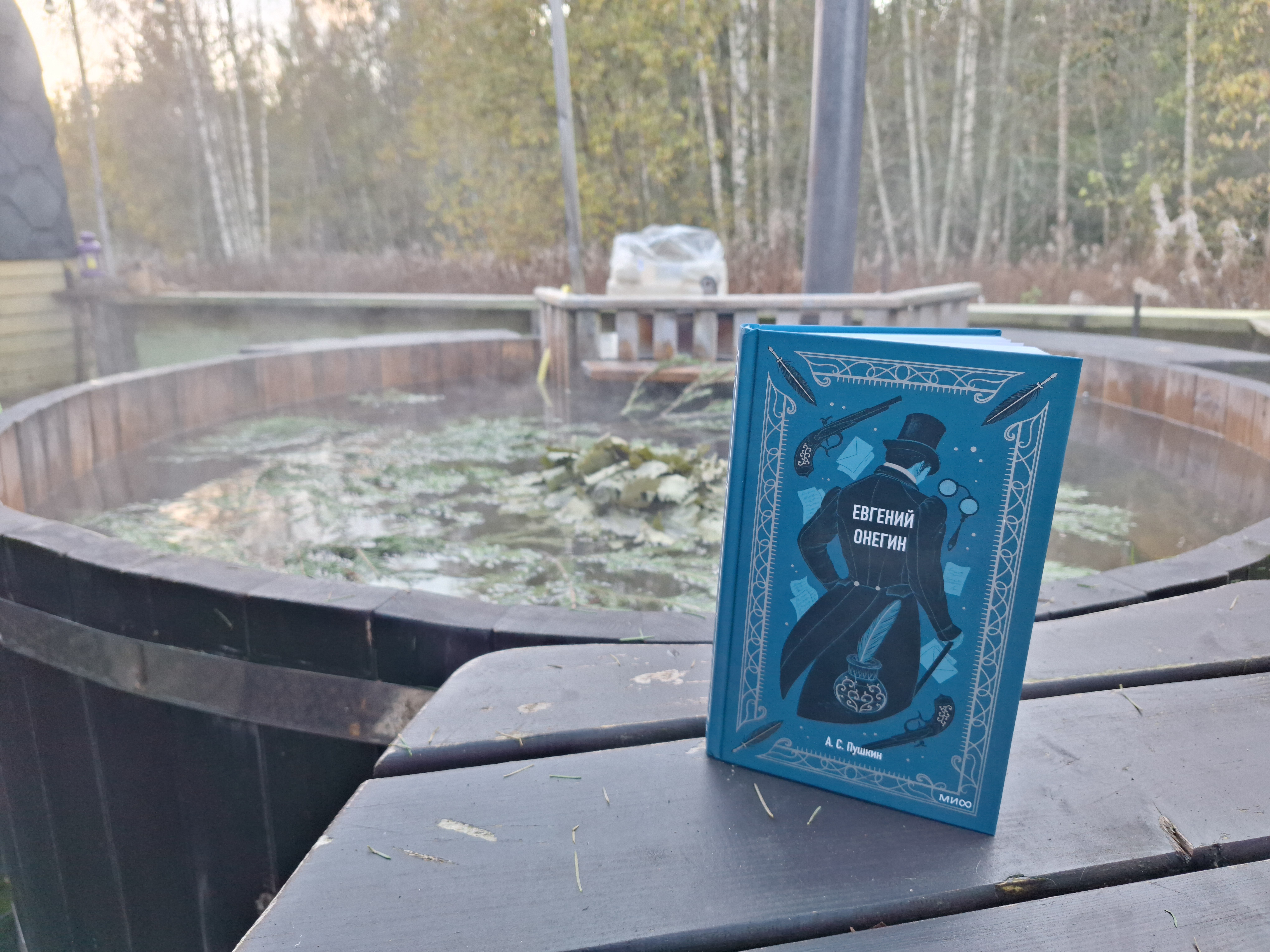 Фото Пушкинские дачи