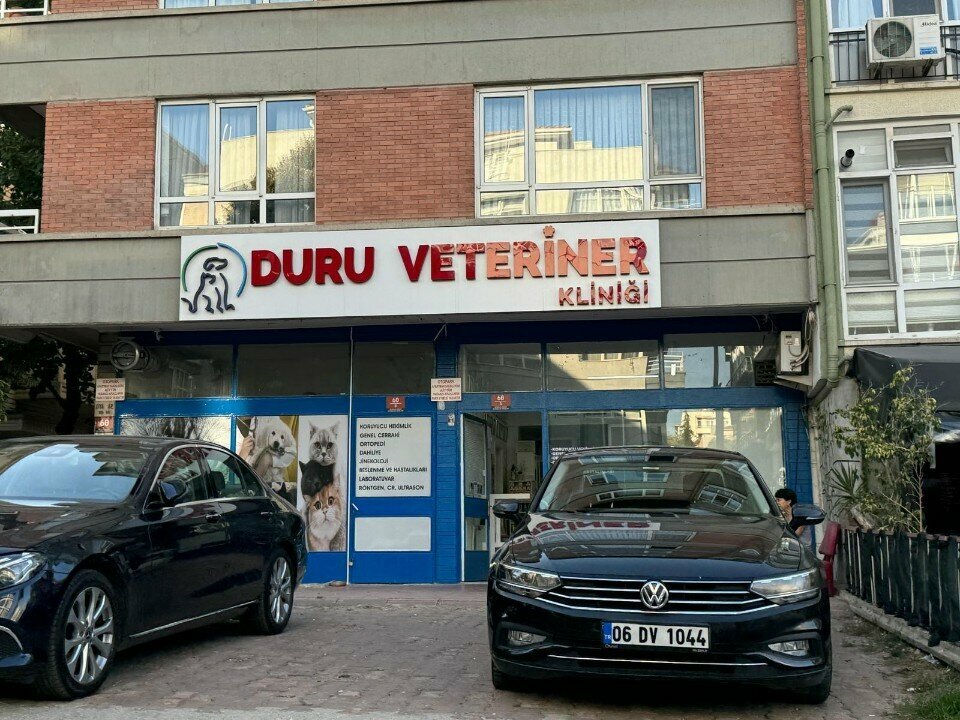 Clínica veterinaria Duru Veterinary Clinic, , foto