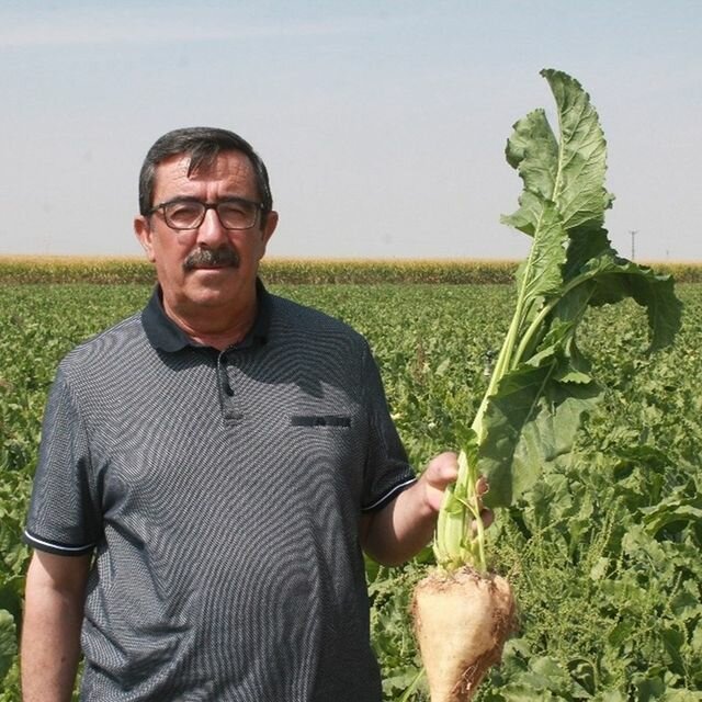 Fondo público S. S. Konya Sugar Beet Growers Cooperative, , foto