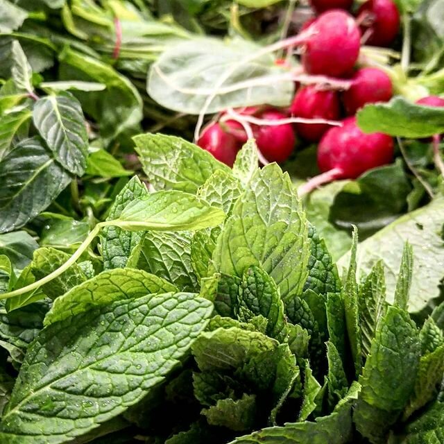 Phytoproducts, dietary supplements Tazemutfak.com, Istanbul, photo