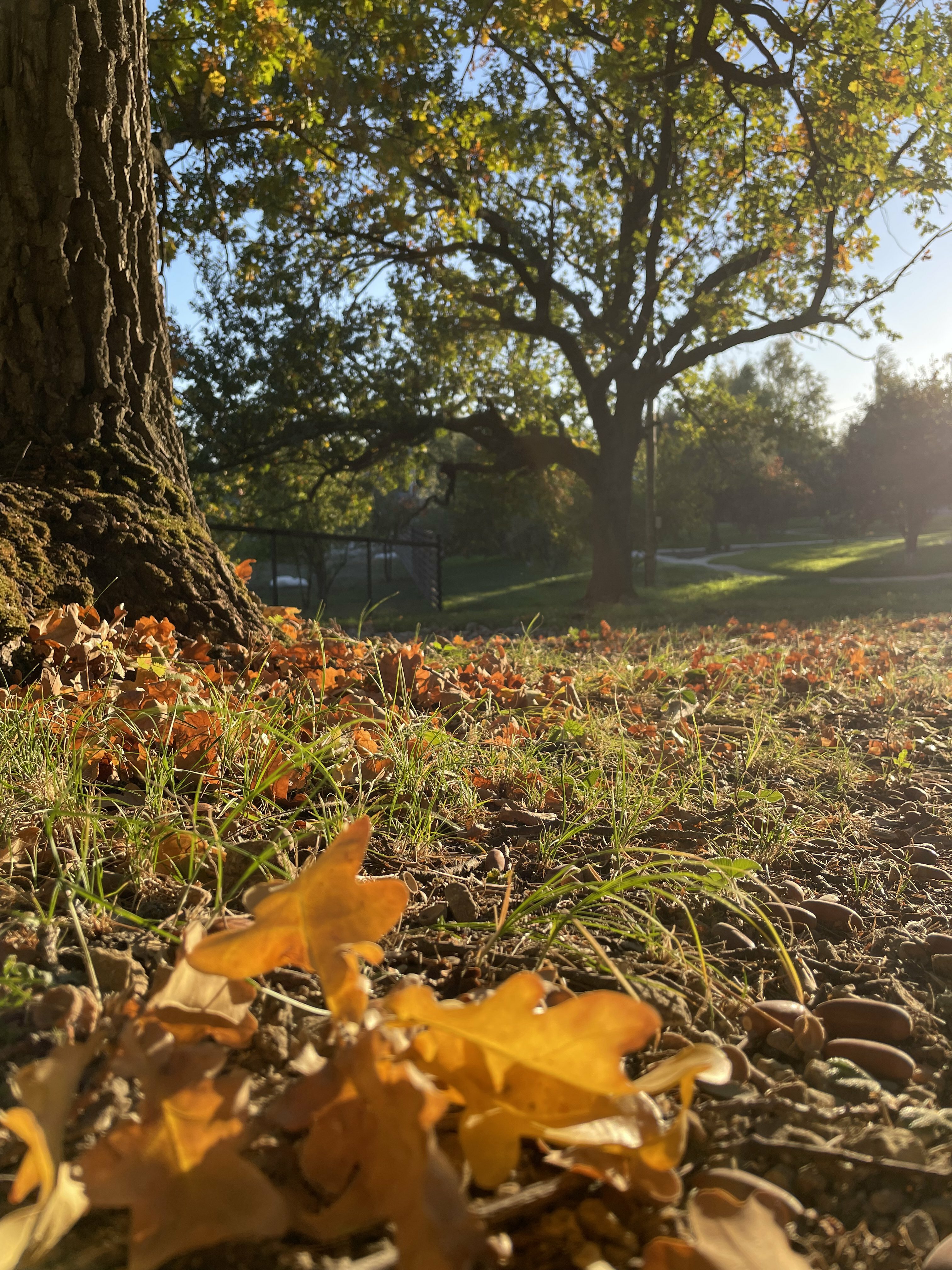 Фото Хижина