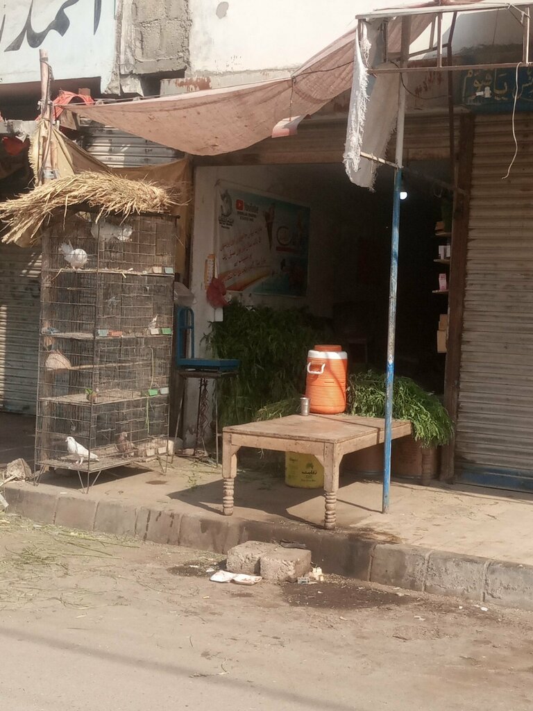 Egg and poultry meat Bismillah traders, Karachi, photo