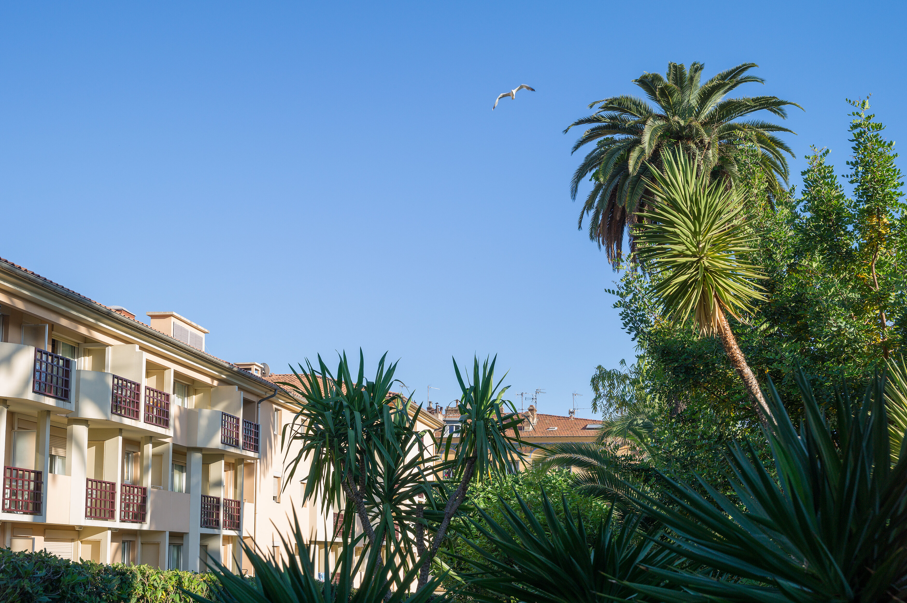 Фото Pierre & Vacances Residence Les Citronniers