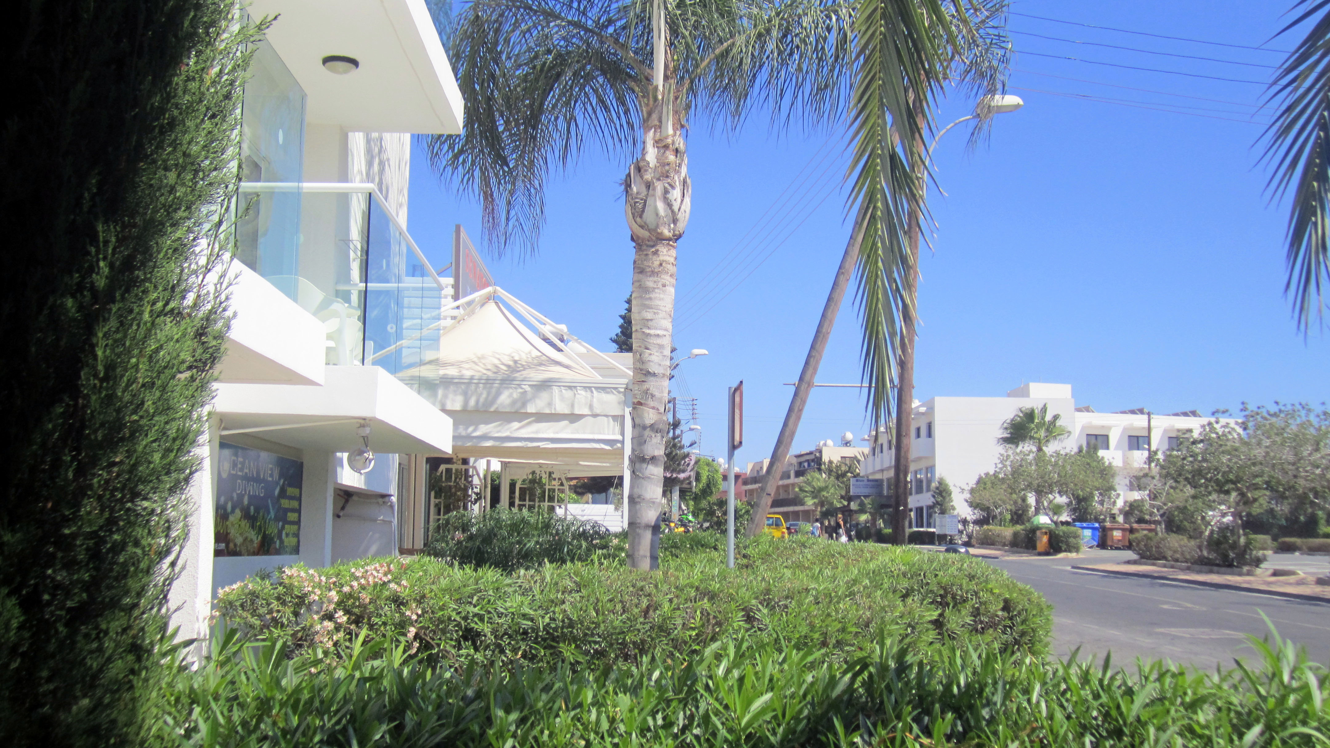 Фото Senator Hotel