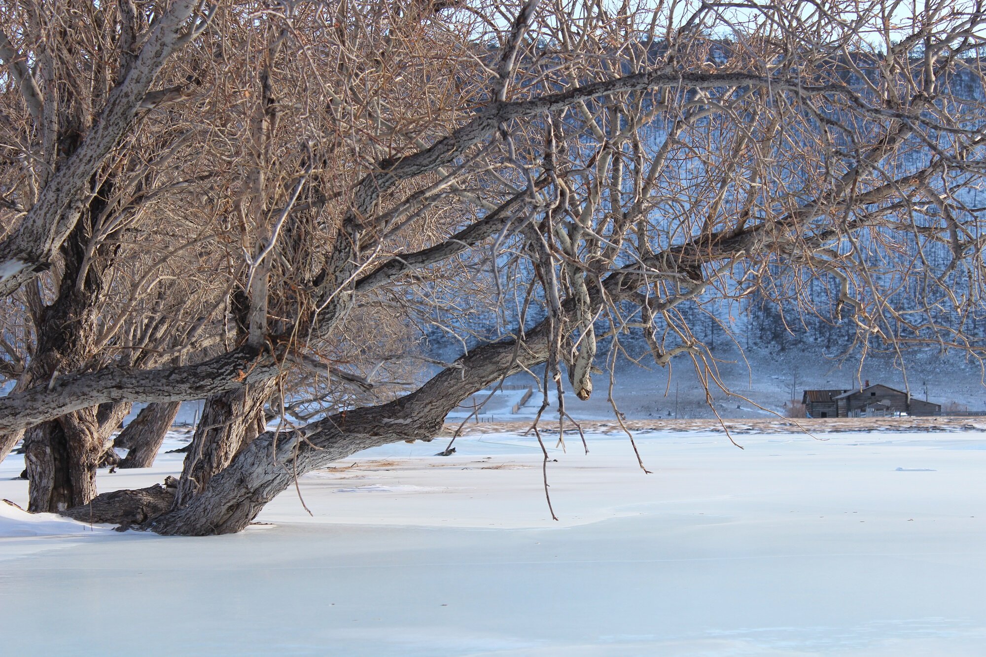 Фото Байкал-Кэмп