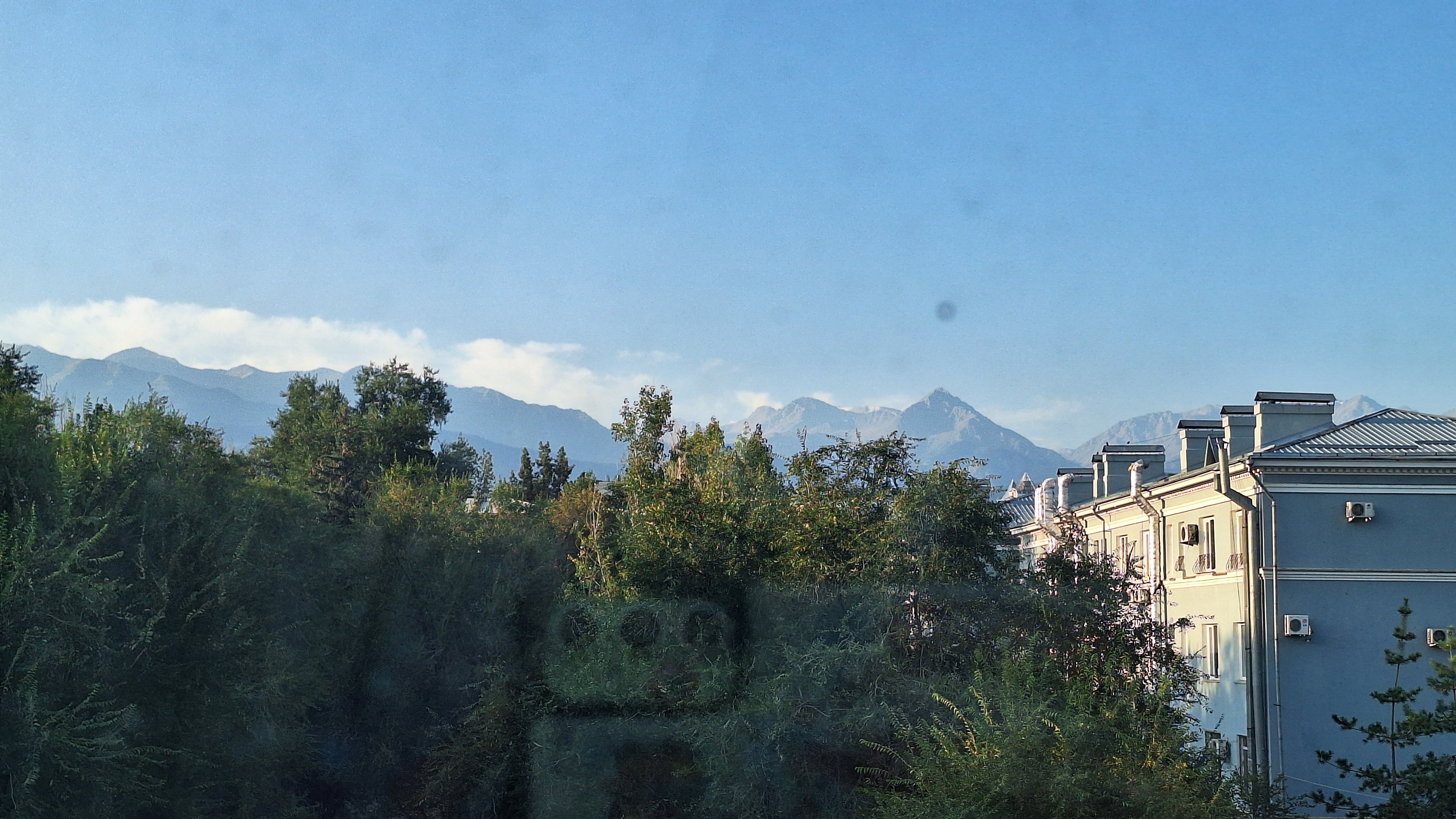 Фото Mildom Premium