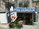 Yuva Cicekcilik (Ankara Province, Altındag District, Hacı Bayram Mah., Rüzgarlı Cad., 23D), floristeria
