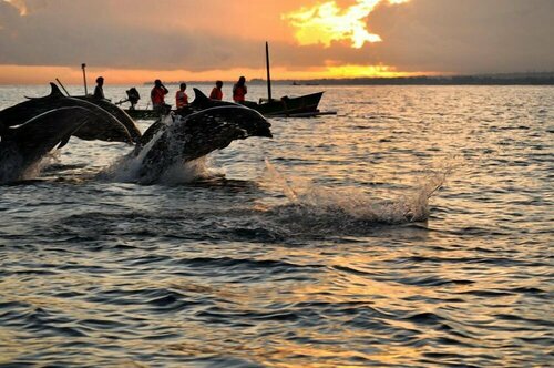Внешний вид отеля Zen Resort Bali в Калясеме, фото 5