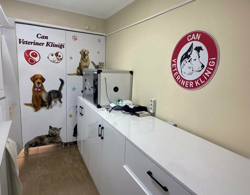 Veterinary clinic Can Veterinary Clinic, Artvin, photo