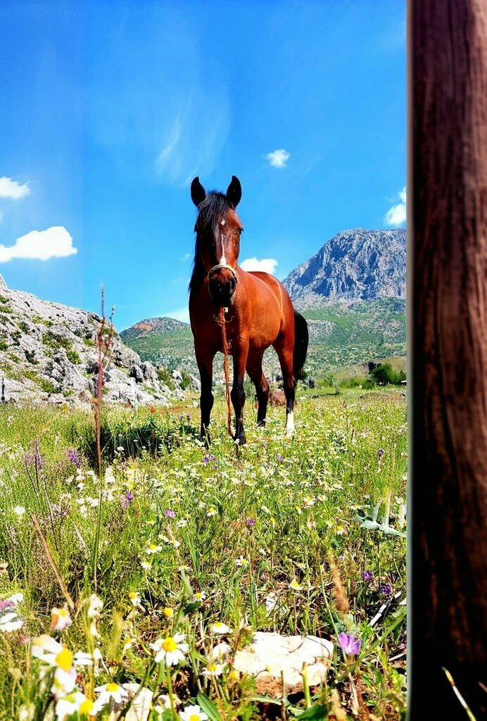 Landmark, attraction Rock Tombs, Kahramanmaras, photo