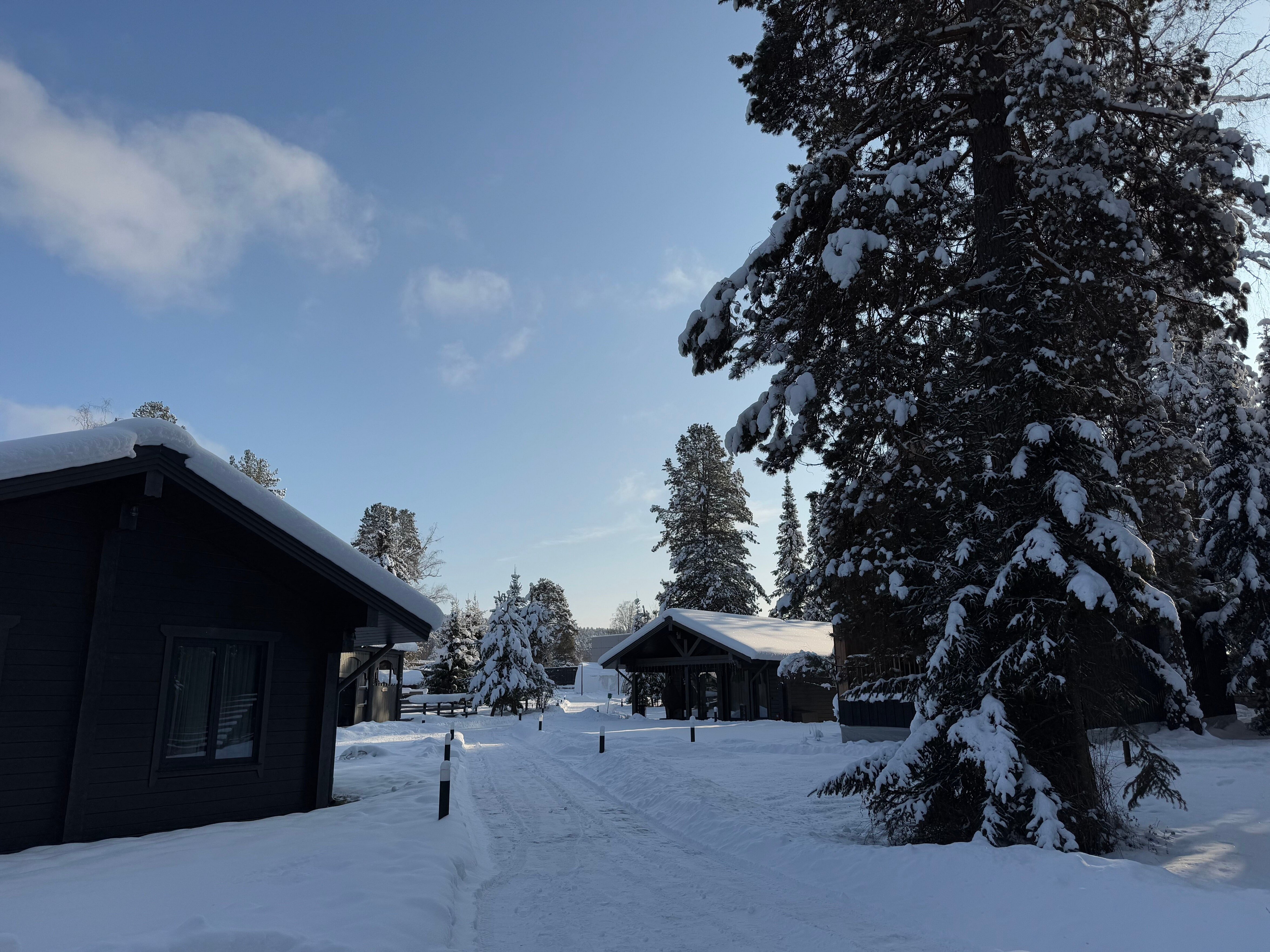 Фото Чага Дом