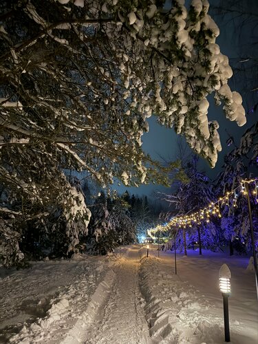 Глэмпинг Багио в Лотошинском районе