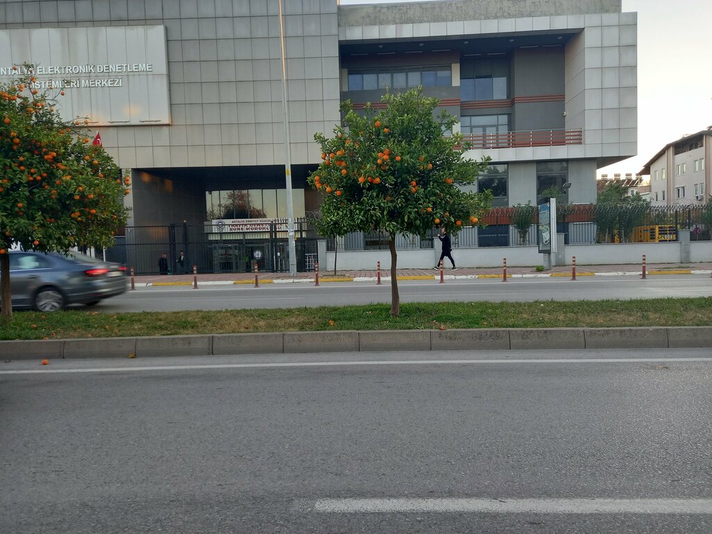 Government ministries, services Electronic Monitoring Systems Center, Antalya, photo