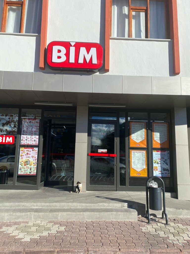 Supermarket Bim, Konya, photo