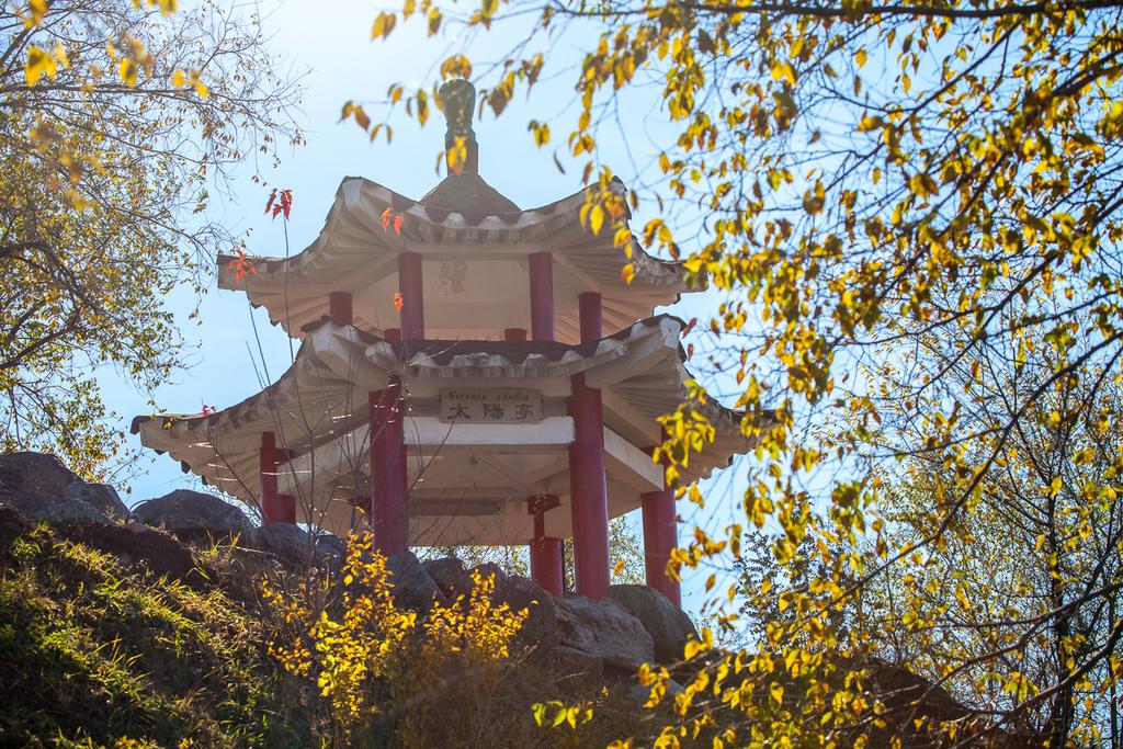 Фото Шанхай