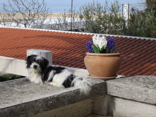 Фото Guesthouse Punta Mira