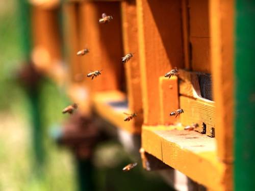 Фото I Segreti del Borgo