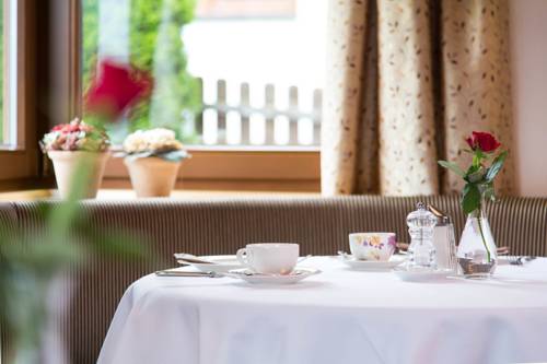 Фото Rosa Canina