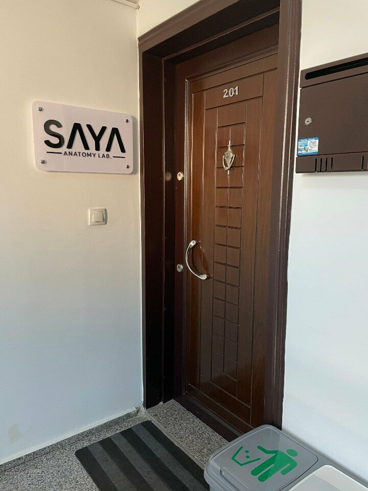 Private practice doctors Saya Anatomy Lab, Antalya, photo