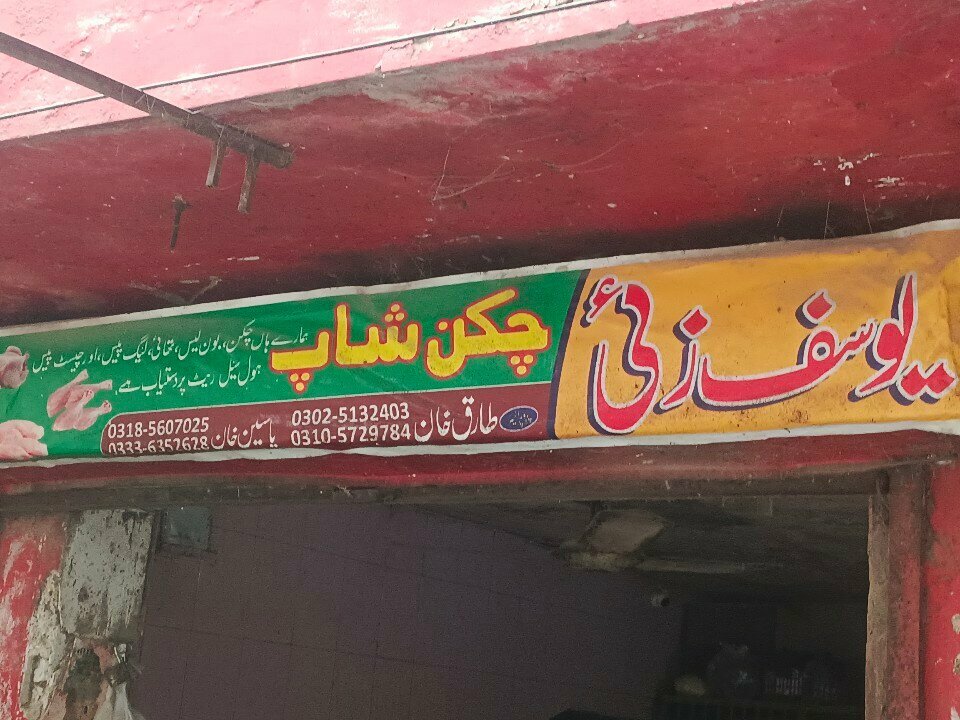 Egg and poultry meat Chicken, Rawalpindi, photo