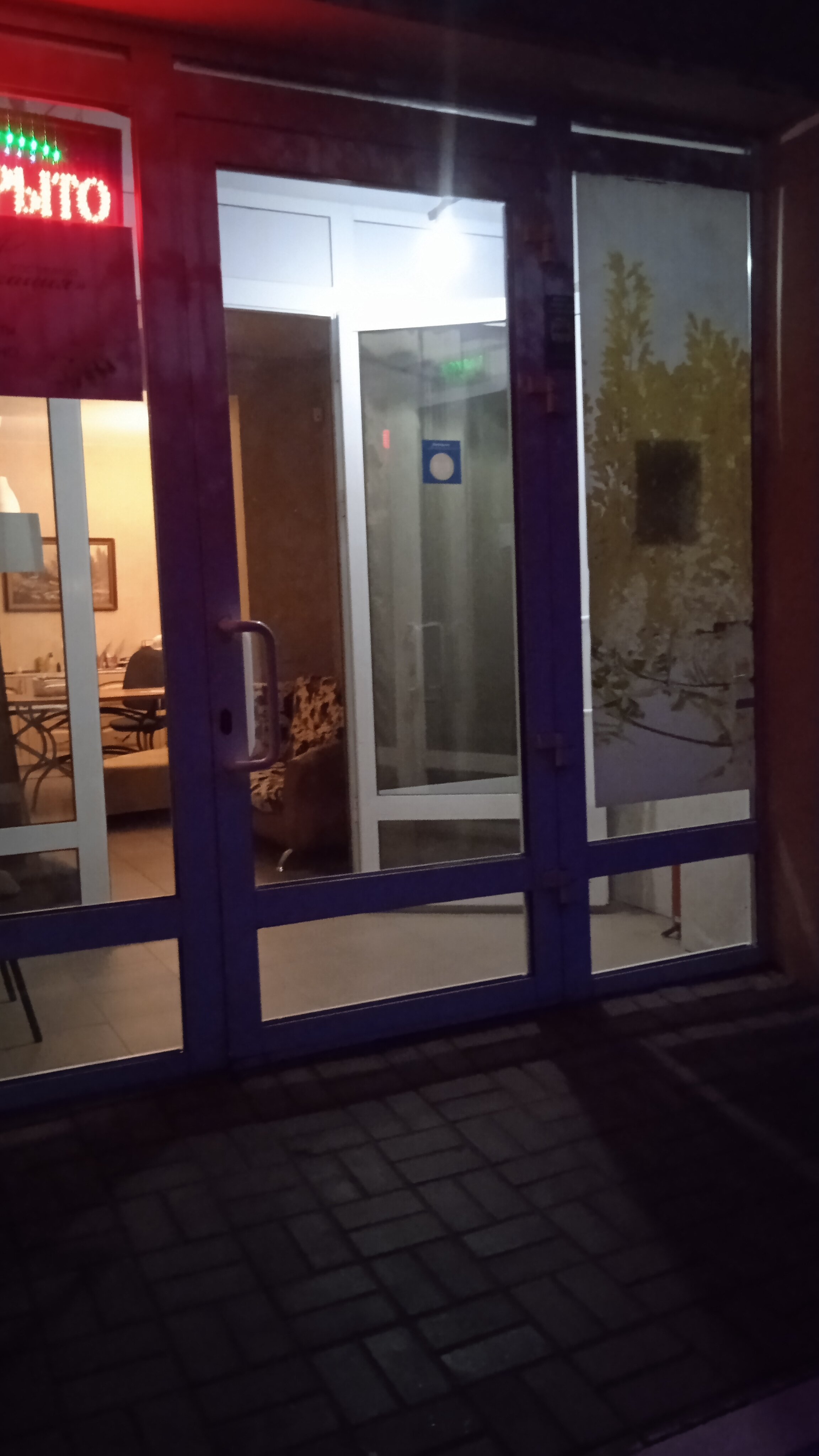 Фото Акация