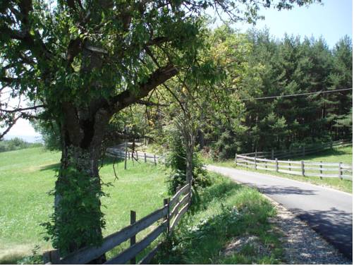 Фото Hotel Linde