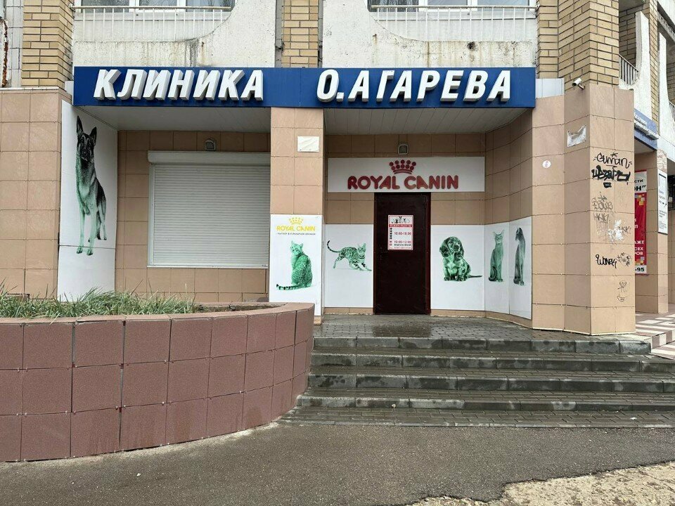 Veterinary clinic Veterinarnaya klinika doktora O.Agaryova, Balakovo, photo