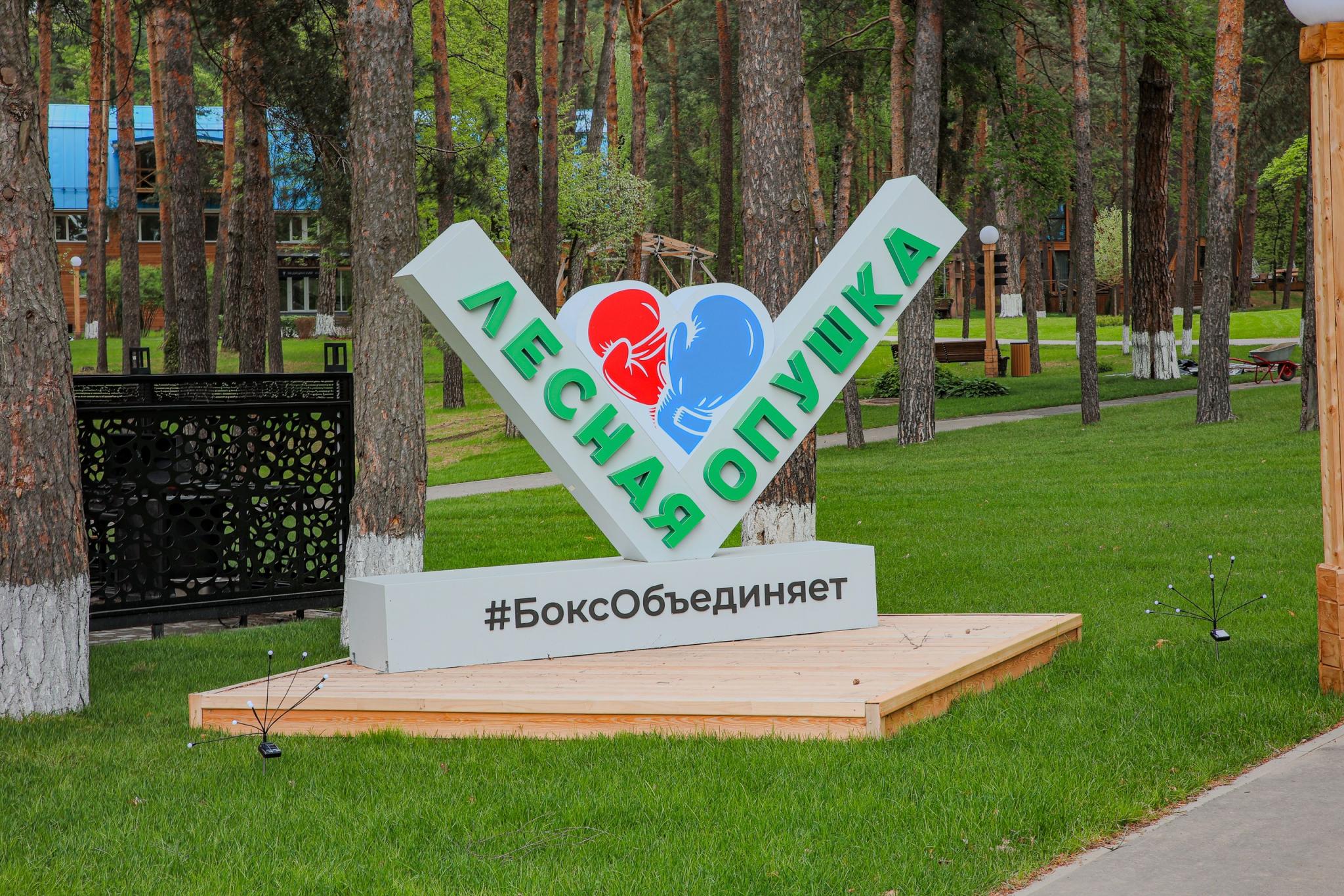 Фото Лесная опушка