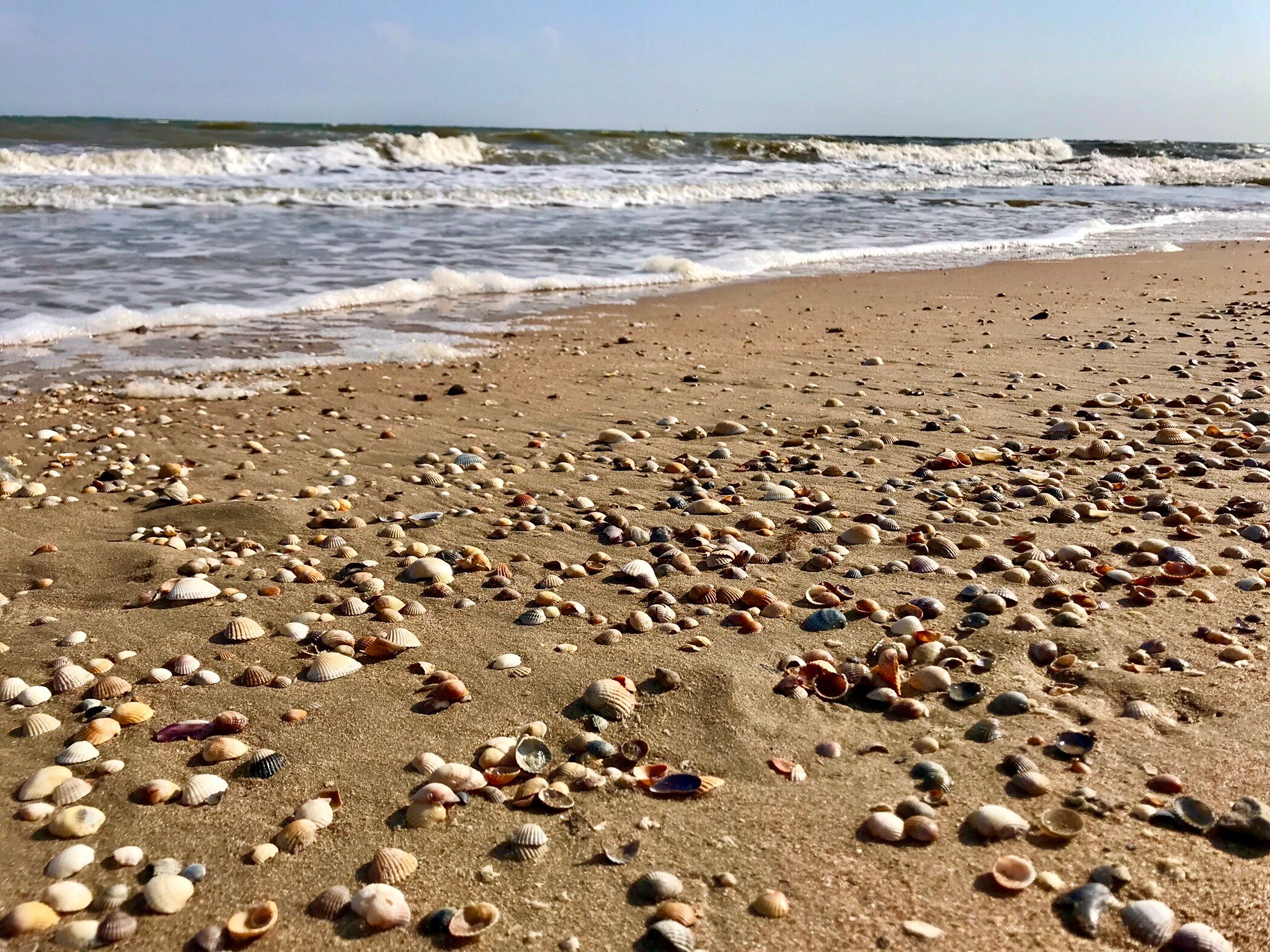 Фото Residential House